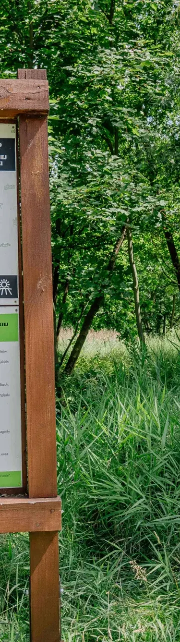 Zielona rewolucja w Parku Puchalskiego. 1500 nowych roślin