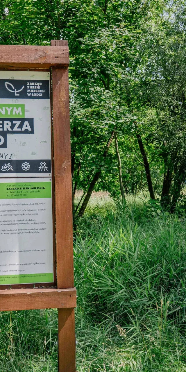 Zielona rewolucja w Parku Puchalskiego. 1500 nowych roślin