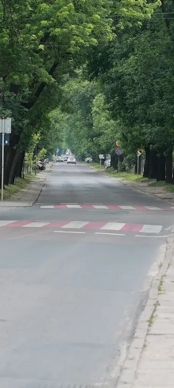Cała Franciszkańska do remontu. Pierwsze prace ruszą w sierpniu