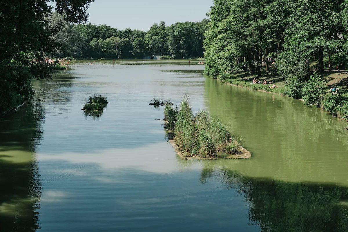 Pięć pływających wysp oczyszcza stawy w Łodzi. Będzie kolejna