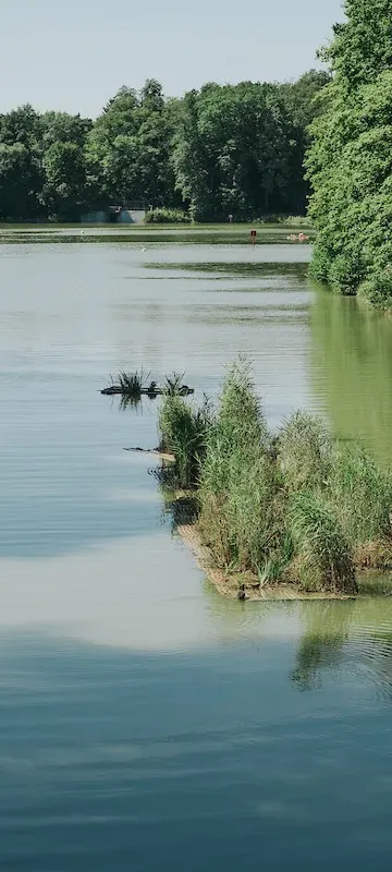 Pięć pływających wysp oczyszcza stawy w Łodzi. Będzie kolejna