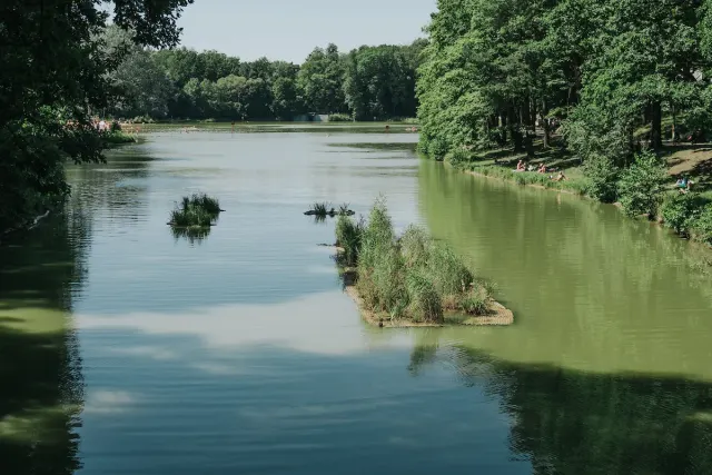 Pięć pływających wysp oczyszcza stawy w Łodzi. Będzie kolejna