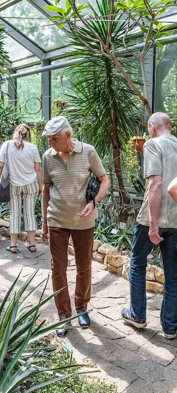 Palmiarnia w Łodzi kończy 70 lat. Potrzebuje pomocy mieszkańców