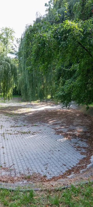 Suchy staw w Parku Staszica ma zniknąć. Miasto szykuje remont za 332 tys. zł