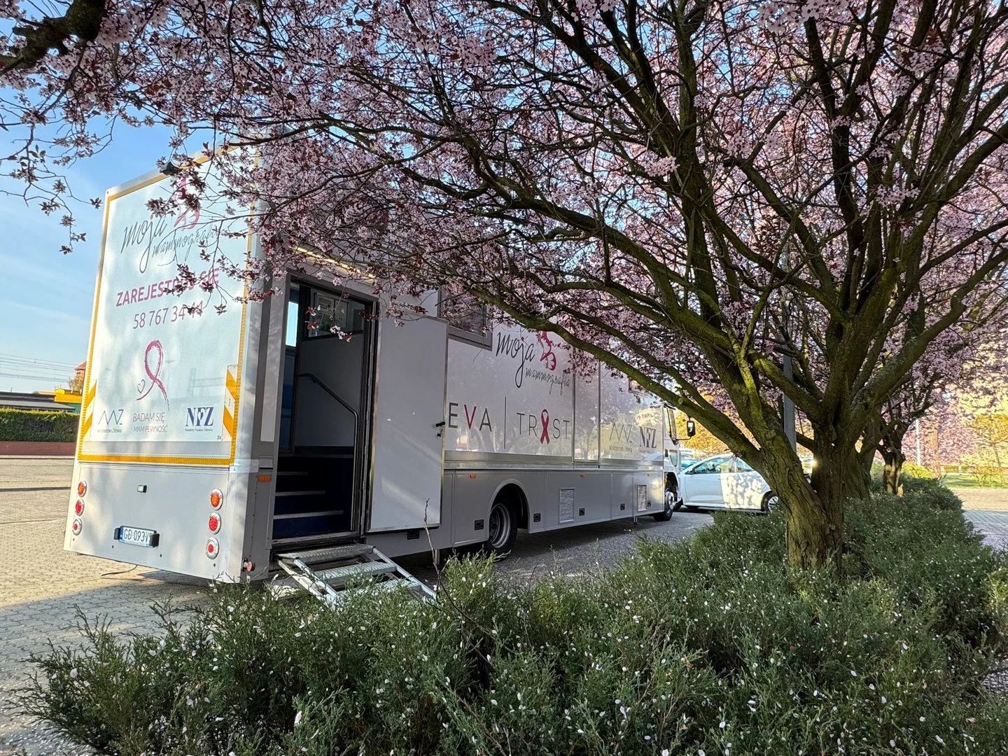 Zdążysz jeszcze w wakacje. Mammobus przyjedzie do Łodzi