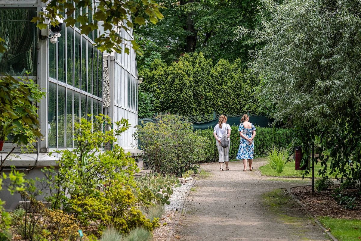 Palmiarnia kończy 70 lat. Na urodziny wstęp będzie bezpłatny