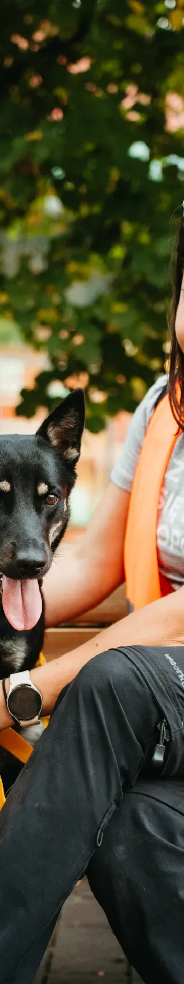 Ponad 20 psów szuka domów. Psia Polówka w Porcie Łódź