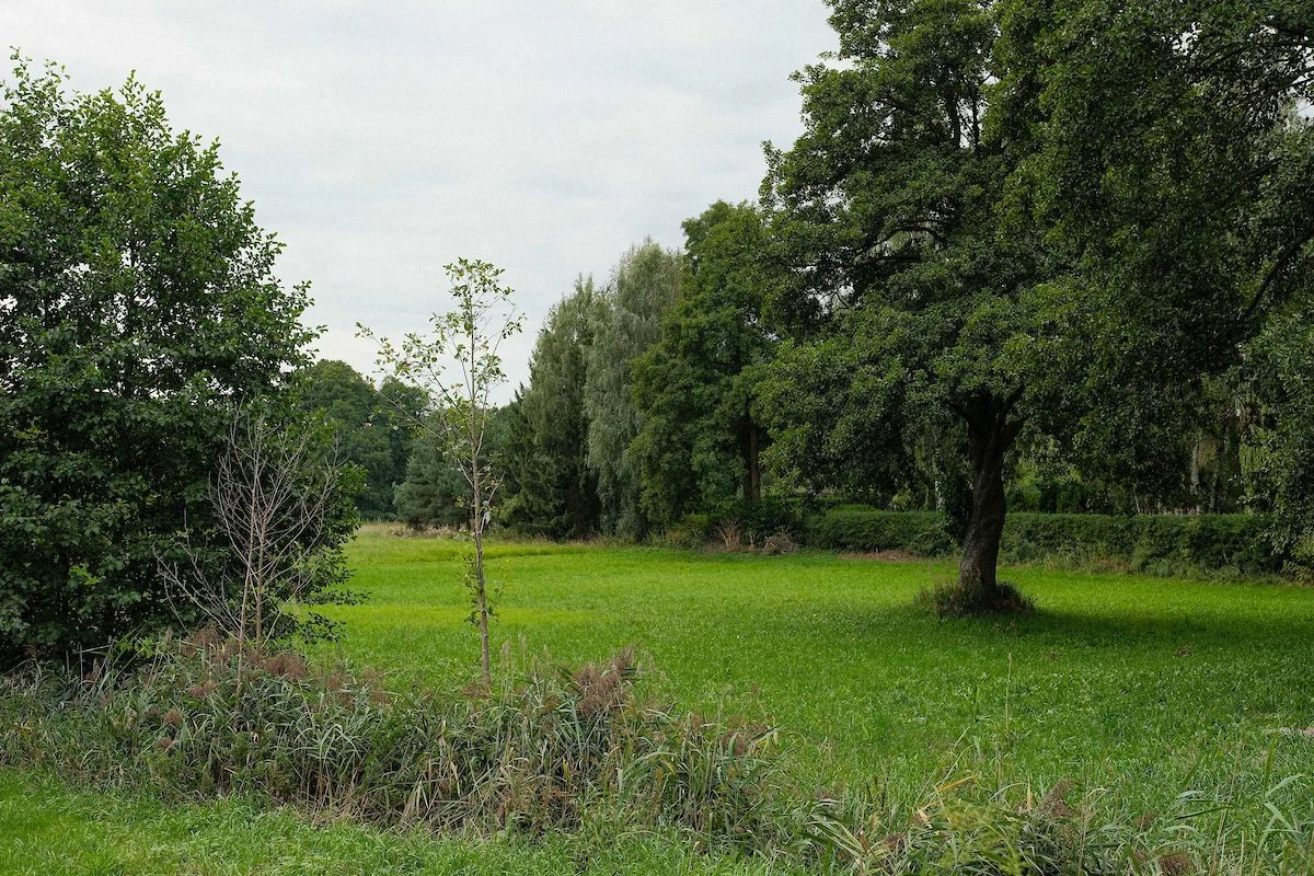 Duże osiedla mają ominąć dolinę Miazgi. Jest projekt planu