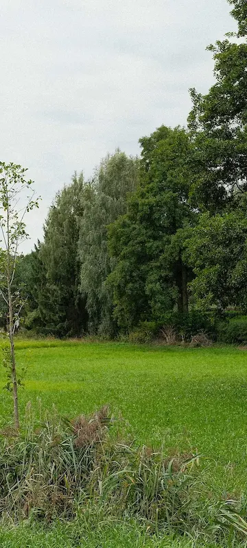Duże osiedla mają ominąć dolinę Miazgi. Jest projekt planu