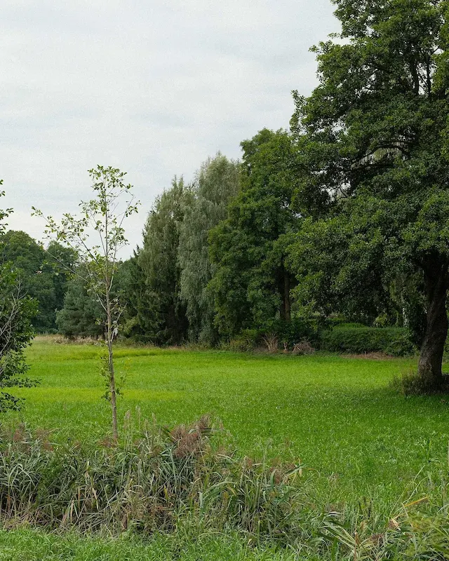 Duże osiedla mają ominąć dolinę Miazgi. Jest projekt planu