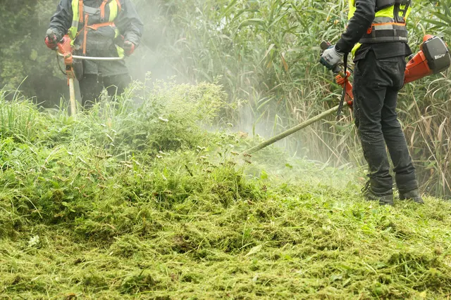 Ruszyła budowa zielonej plaży nad Jasieniem. Strefa rekreacji za ponad 1 mln zł