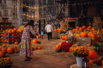 Farma Dyń wraca do Fuzji. Wstęp za paragon albo datek