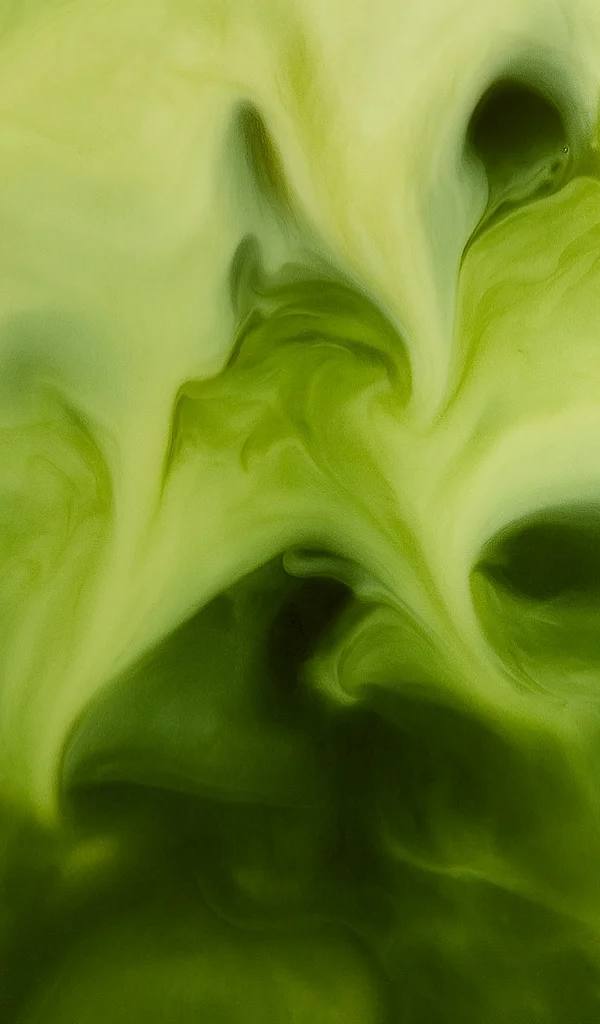 Maru Matcha
