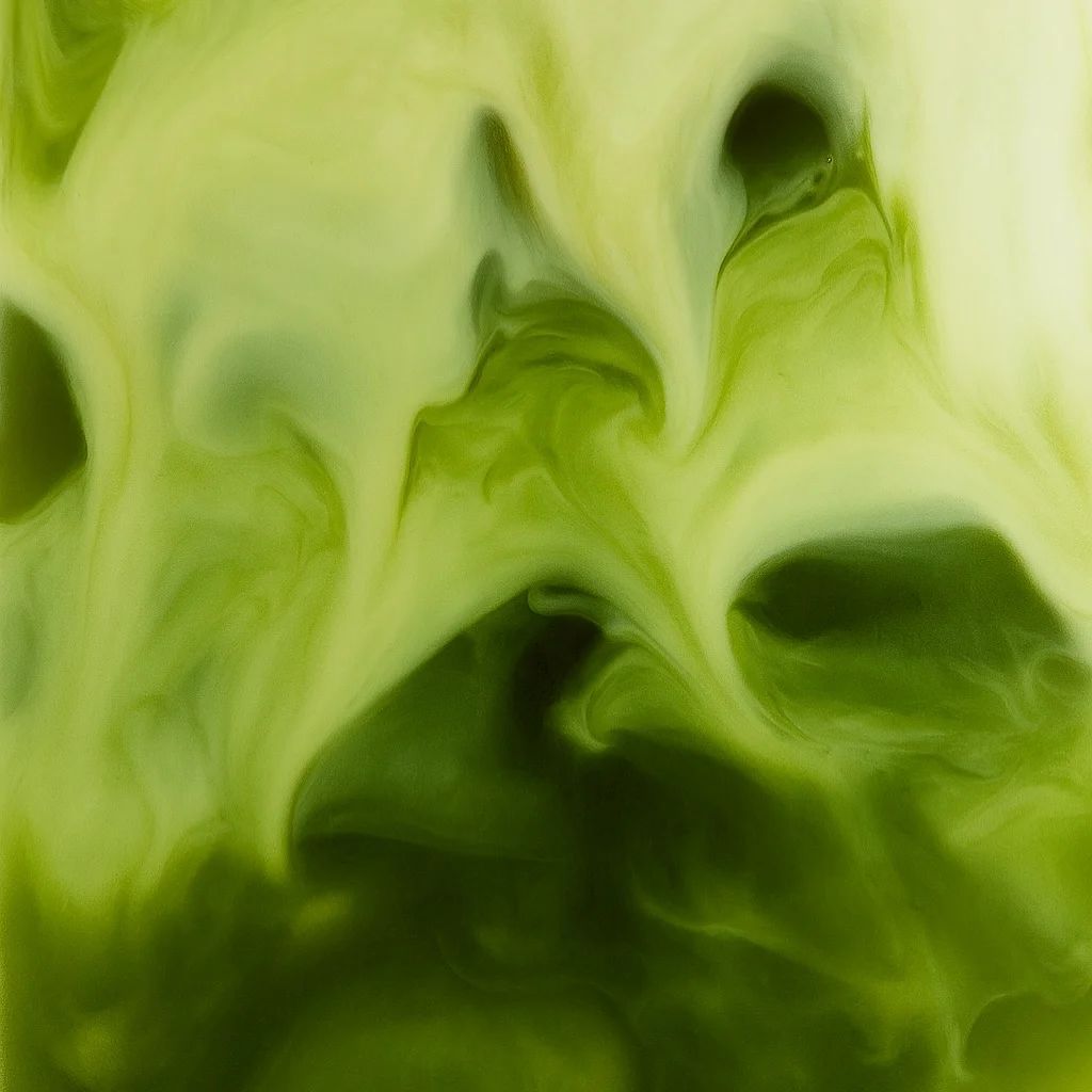 Maru Matcha
