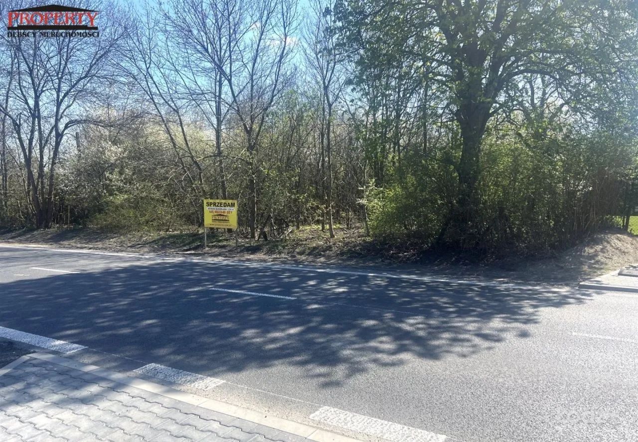 Działka budowlana 1256m ul. Brzezińska – zdjęcie 2