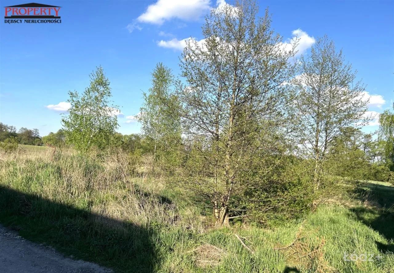 Kształtna działka budowlane w rej. Huta Jagodnica – zdjęcie 3
