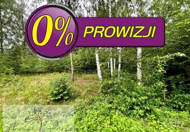 Działka budowlana 1800 m² | Łódź – Widzew okazja – zdjęcie 10