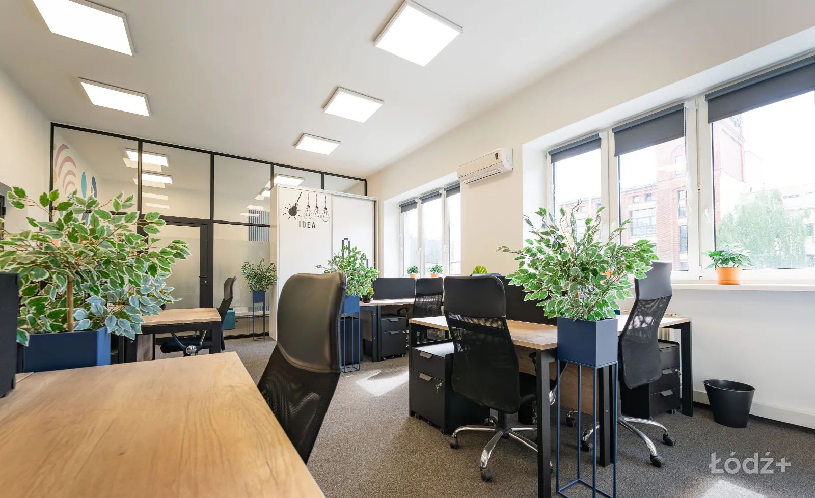 Prywatne stanowisko | Biurko dedykowane | Coworking | Łódź Centrum – zdjęcie 11